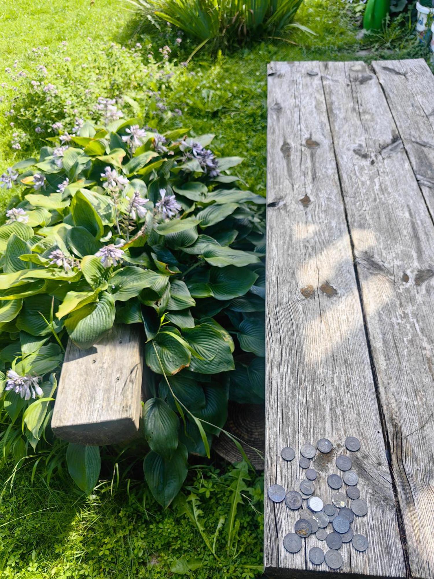 Hisa Hortenzija Luče Buitenkant foto