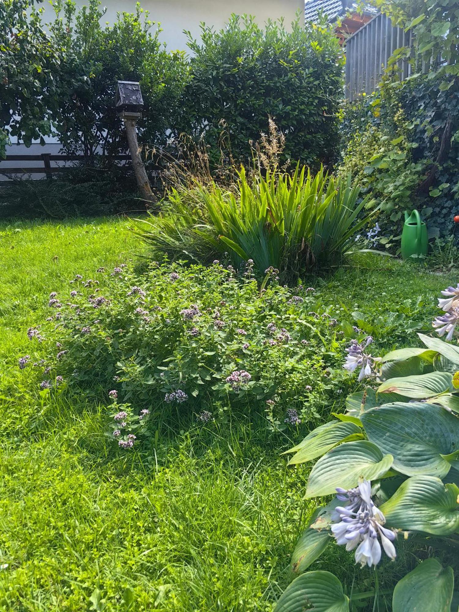 Hisa Hortenzija Luče Buitenkant foto