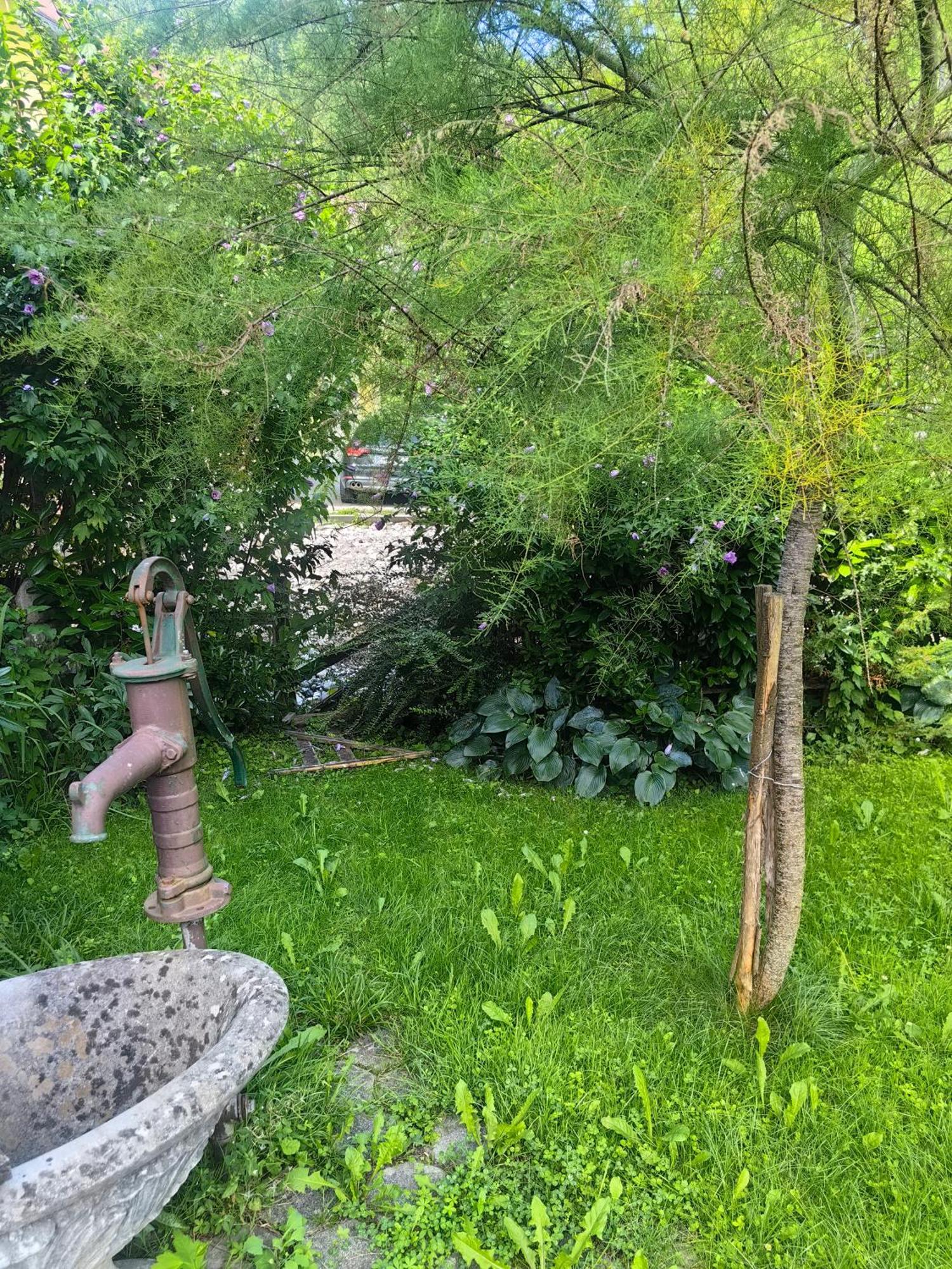 Hisa Hortenzija Luče Buitenkant foto